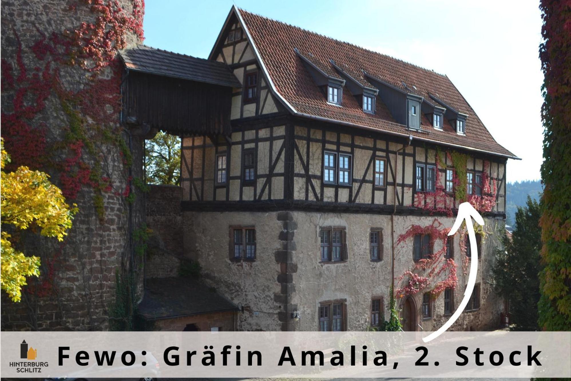 Graefin Amalia - Elegantes In Der Historischen Hinterburg In Schlitz, 2 Schlafzimmer, Mit Garten, Nahe Fulda Und Bad Hersfeld Schlitz