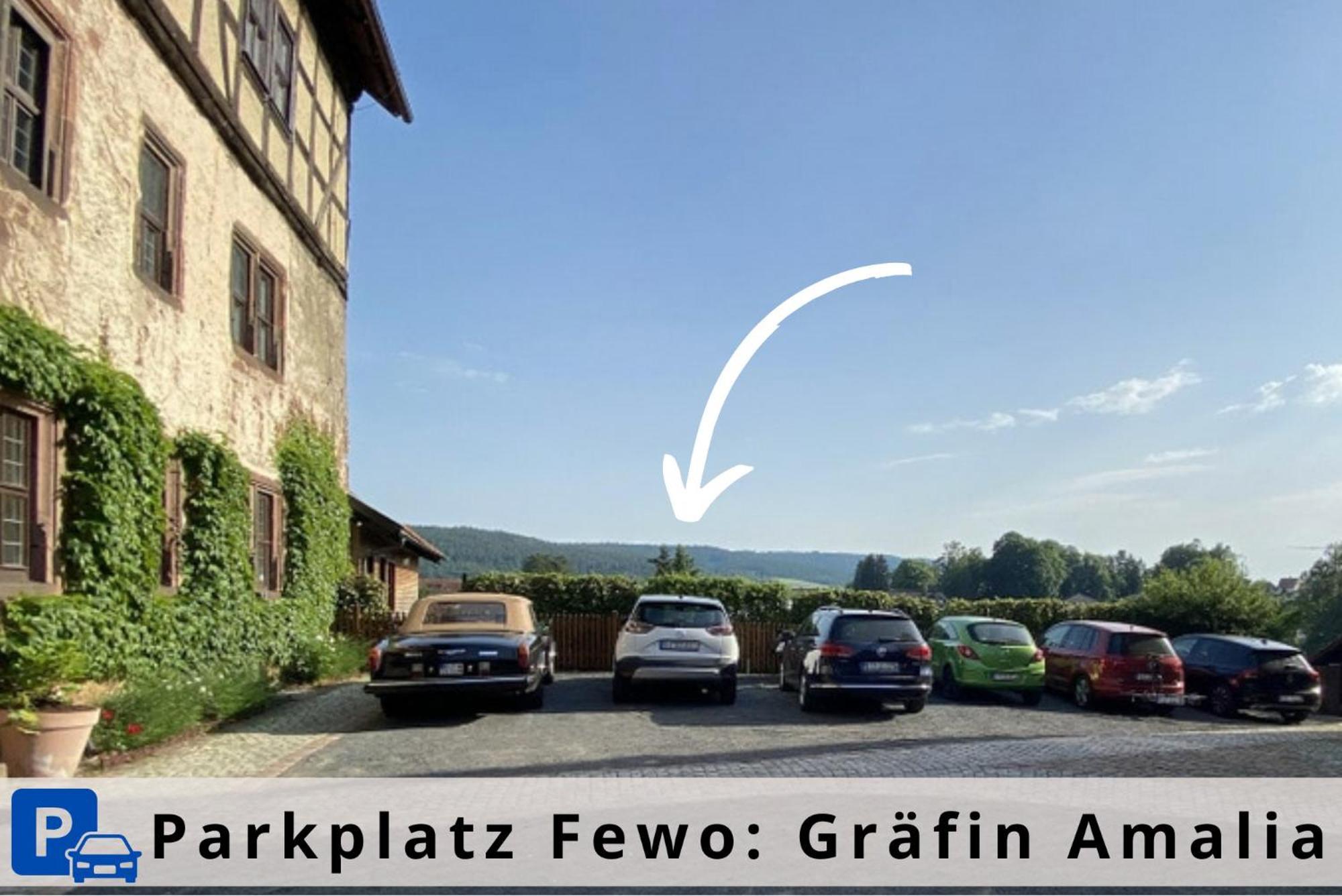 Graefin Amalia - Elegantes In Der Historischen Hinterburg In Schlitz, 2 Schlafzimmer, Mit Garten, Nahe Fulda Und Bad Hersfeld * Schlitz